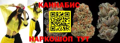 сатива Гусев